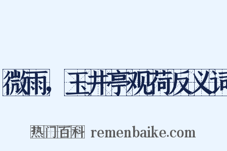 微雨，玉井亭观荷反义词是什么意思的图片